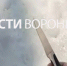 В Воронеже возбудили дело о подготовке к убийству после стрима школьницы с ножом - ГТРК Воронеж