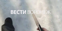 В Воронеже возбудили дело о подготовке к убийству после стрима школьницы с ножом - ГТРК Воронеж