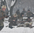 25 января – День освобождения Воронежа от немецко-фашистских захватчиков - Правительство Воронежской области