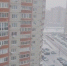 Мощный снегопад накрыл Воронеж. Когда он закончится? - МОЁ! Online