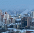 Лютый мороз после оттепели ожидается в Воронеже - Bloknot-Voronezh.Ru