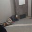 Воронежский бомж кидает в подъезде обкаканные штаны и обещает убить недовольных - Bloknot-Voronezh.Ru