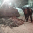 Из Воронежа в ночь на 2 февраля вывезли более 8,5 тыс кубометров снега - РИА Воронеж