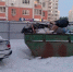 В Воронеже возобновили вывоз мусора с очищенных площадок  - Обозреватель.Врн