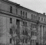 Alma-mater спортсменов 47 лет назад появилась в центре Воронежа - Bloknot-Voronezh.Ru