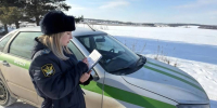 Приставы проконтролировали ликвидацию 1,5 тыс кв м незаконной свалки возле воронежской деревни - РИА Воронеж