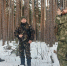 Лесопатологическое обследование в Валуйском лесничестве Белгородской области - Рослесозащита Воронежской области