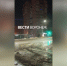 Новое «море» разлилось на Ленинском проспекте в Воронеже - ГТРК Воронеж