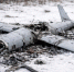 Украинский беспилотник сбили над одним из районов Воронежской области - Bloknot-Voronezh.Ru