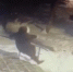 Жесткие падения у подъезда показали на видео в Воронеже - Bloknot-Voronezh.Ru