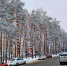 Морозы возвращаются - Берег