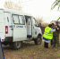 Воронежцам напомнили об опасности для людей бешенства животных - ГТРК Воронеж