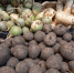 Более 18 тыс тонн сельхозпродукции экспортировали за месяц из Воронежской области - Bloknot-Voronezh.Ru