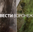 В Воронеже комнату многодетной семьи затопило из-за протекающей крыши общежития - ГТРК Воронеж