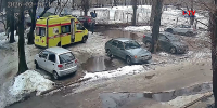 Стало известно состояние женщины, на которую упало дерево в Воронеже - TV-Gubernia.Ru