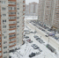 Снежная буря накрыла Воронеж: горожан предупреждают об опасности - МОЁ! Online