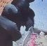 Бессердечный поступок двух женщин попал на видео в воронежском ЖК - МОЁ! Online