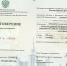 Преподаватели кафедры экономической безопасности ВГТУ повысили квалификацию в МГУ имени М.В. Ломоносова - ВГТУ