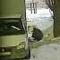 В Воронеже две канистры бензина слил из грузовиков мужчина и скрылся - ВестиПК в Воронеже