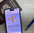 В Воронежской области созданы цифровые сервисы для пяти «жизненных ситуаций» - РИА Воронеж