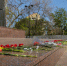 Опавшую облицовку на площади Победы починят за 2,5 млн рублей - Bloknot-Voronezh.Ru