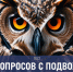 Сможете ли вы обыграть знатоков? Тест из 10 сложных вопросов игры «Что? Где? Когда?» - TV-Gubernia.Ru