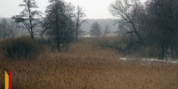 Воронежцев ждет теплая и пасмурная рабочая неделя - РИА Воронеж