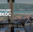 О проведении конференции «АБРИКОС – философия развития» - Минсельхоз Воронежской области