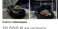 Воронежанки остались без платного кавалера на 8 Марта - МОЁ! Online