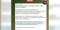 О фейковой вирусной атаке в мессенджерах предупредили воронежцев - Обозреватель.Врн