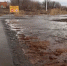 В Воронежской области начали запрещать движение по мостам из-за половодья - ГТРК Воронеж