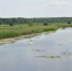Экологи проведут масштабное обследование Воронежского водохранилища - ГТРК Воронеж