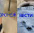 В Воронеже спустя месяц так и не поймали искусавших девушку собак - ГТРК Воронеж