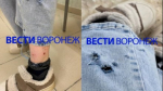 В Воронеже спустя месяц так и не поймали искусавших девушку собак