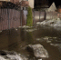 Гигантский водоем из коричневой жижи обнаружили в воронежском Шилово - Bloknot-Voronezh.Ru