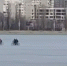 Бесстрашных воронежцев заметили на льду водохранилища (ВИДЕО) - МОЁ! Online