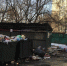 Воронежцы пожаловались на свалку в Березовой Роще - РИА Воронеж