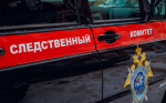 Преследовавшего школьницу эксгибициониста задержали в Воронеже