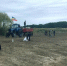 Терновцев после схода снега призвали навести порядок возле домов и на общественных территориях - РИА Воронеж