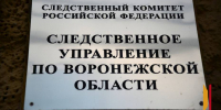 В Воронеже возбудили уголовное дело после нападения бродячих собак, сбивших девушку и прокусивших ей ногу - РИА Воронеж
