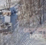 Воронежцы забили тревогу из-за выброшенных трупов собак в водохранилище - ГТРК Воронеж