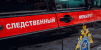 Уголовное дело возбудили после гибели 4-летней девочки на пожаре в Воронеже - Обозреватель.Врн
