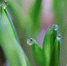Воронежцам пообещали тёплую и дождливую рабочую неделю - ГТРК Воронеж