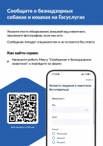 На портале «Госуслуги» можно уведомить о животном без владельца