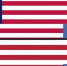 Несколько слов о подлинном флаге США в Воронеже - Культура-Воронеж.Ру