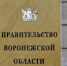 Девяти жителям Воронежской области присвоены региональные награды - РИА Воронеж