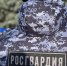 Пьяного воронежца, устроившего стрельбу на мини-рынке, задержал офицер Росгвардии - РИА Воронеж