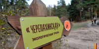 Воронежский заповедник перешел на летний режим работы - РИА Воронеж
