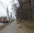 Месячник по благоустройству начался в городе Воронеже - Городская справка 077