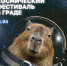 И снится нам не рокот космодрома… А большой праздник в Граде! - Bloknot-Voronezh.Ru